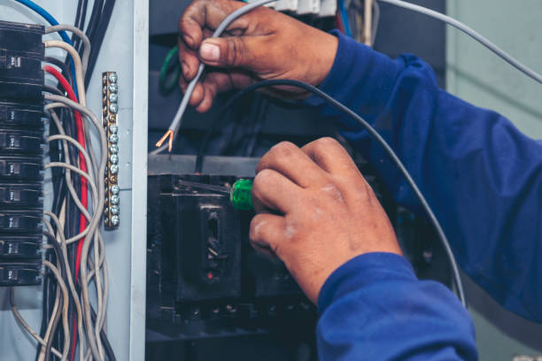 Best Electric Panel Repair  in Sycamore, GA